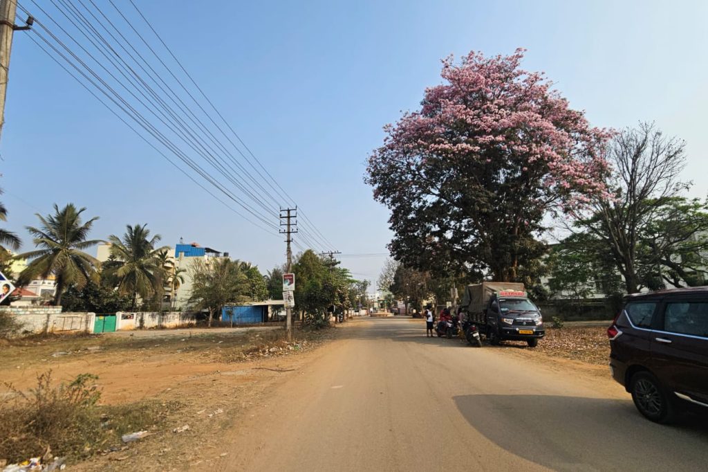 WhatsApp Image 2026-03-01 at 11.15.24 AM (1)