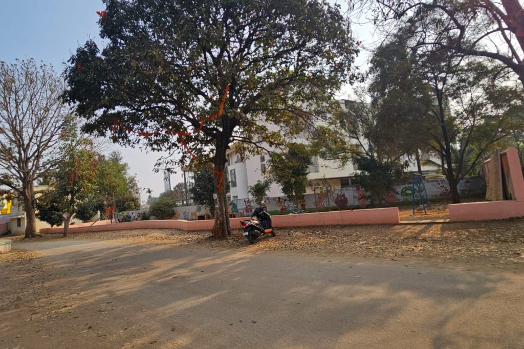 WhatsApp Image 2026-03-01 at 11.15.26 AM